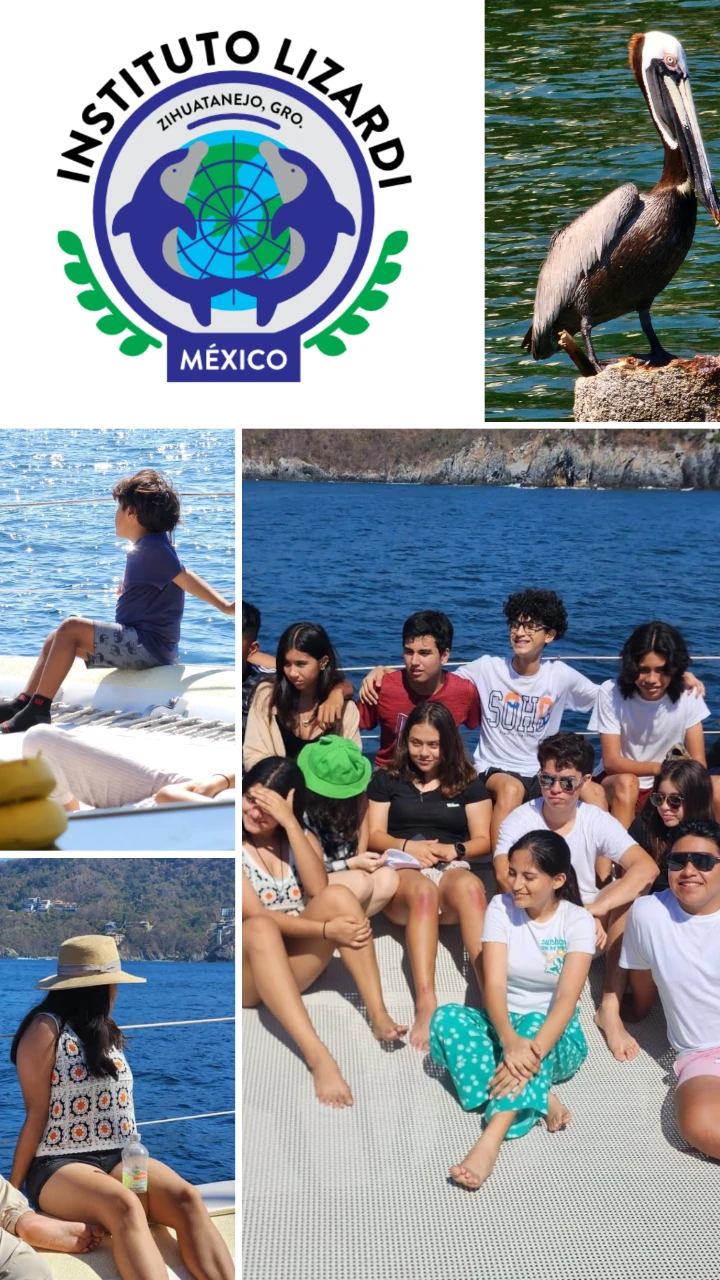 actividadesolución Mexicana Instituto Lizardi